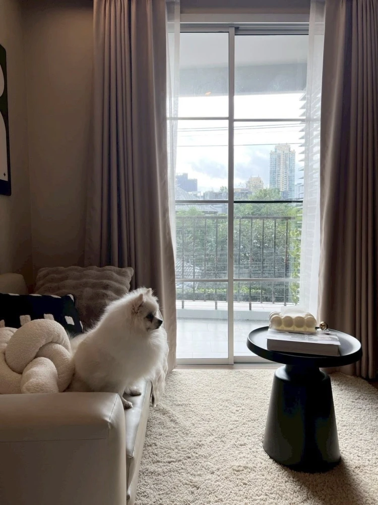 For rent: Maestro 39, 3rd floor, beautiful room, stunningly decorated, ready to move in. Reserve now, hurry!