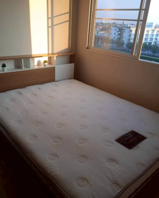 Plum Condo Park phase 2 for rent. Fully furnished and ready to move in. Book now! Don't miss out!
