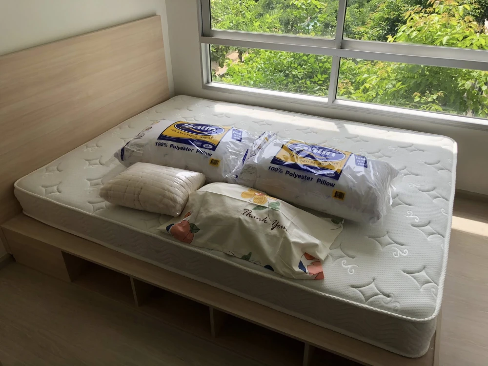 For rent: Plum Condo Rangsit Alive 2, a nice room, fully furnished, with a beautiful garden view. Book now.