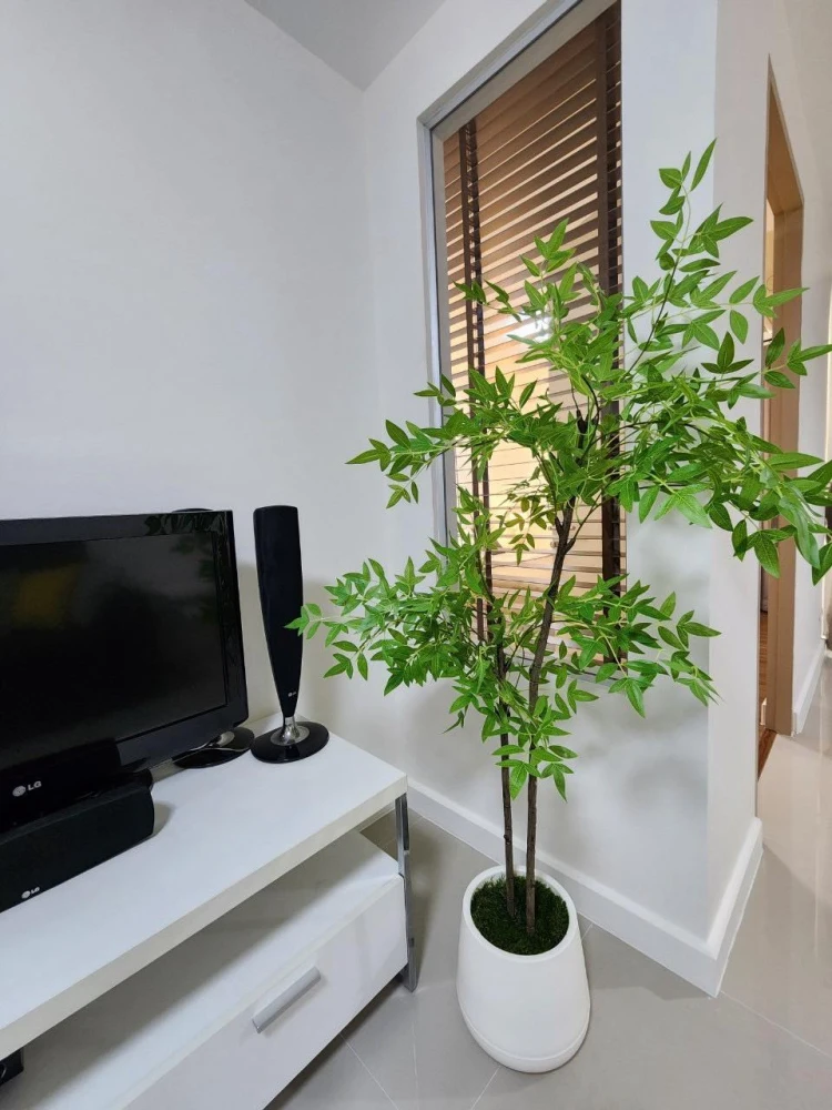 The Clover Thonglor for rent, complete with furniture, quiet atmosphere, not crowded, book now