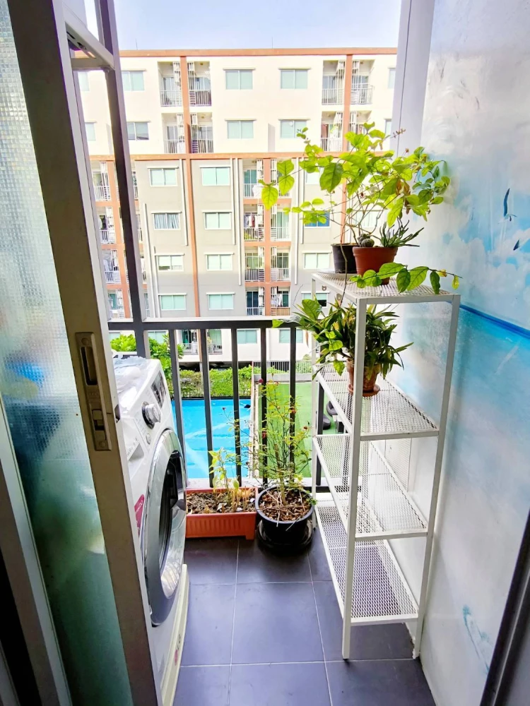 For rent: The Niche ID Rama 2, 5th floor, pool view, fully furnished room, ready to move in, book now, don't miss out.