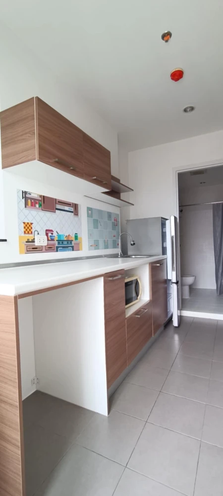 For rent: The Tree Interchange, well-separated rooms, special price, you must not miss it!