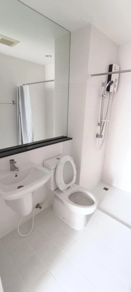 For rent: The Tree Interchange, well-separated rooms, special price, you must not miss it!