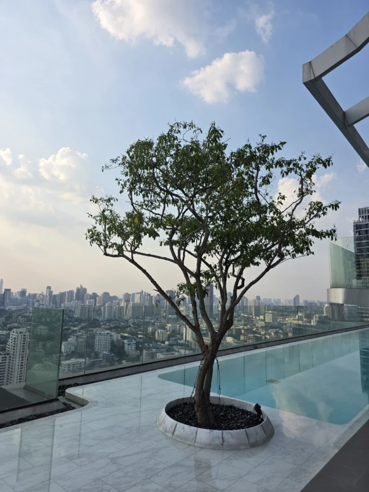 Condo for rent, Park Origin Thonglor. Great location, easy access to transportation. Book now!!