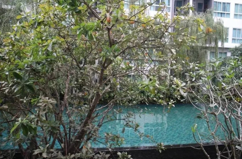 Condo for rent, Lumpini Ville On Nut 46, ready to move in, furnished + complete electrical appliances, just come and move in++