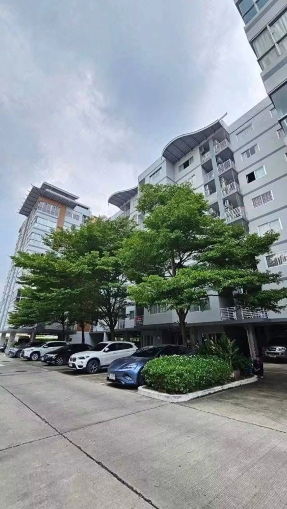 Condo for rent, The Seasons Srinakarin, spacious room, good view, ready to move in, hurry!