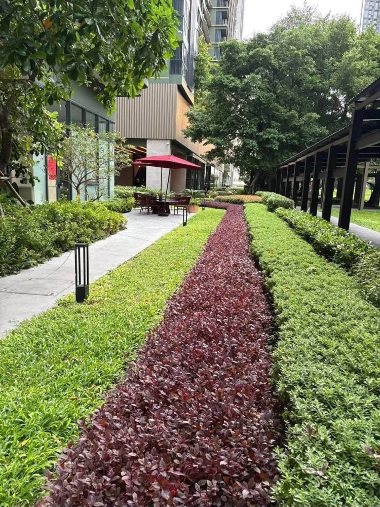 For Rent – The Line Phahonyothin Park