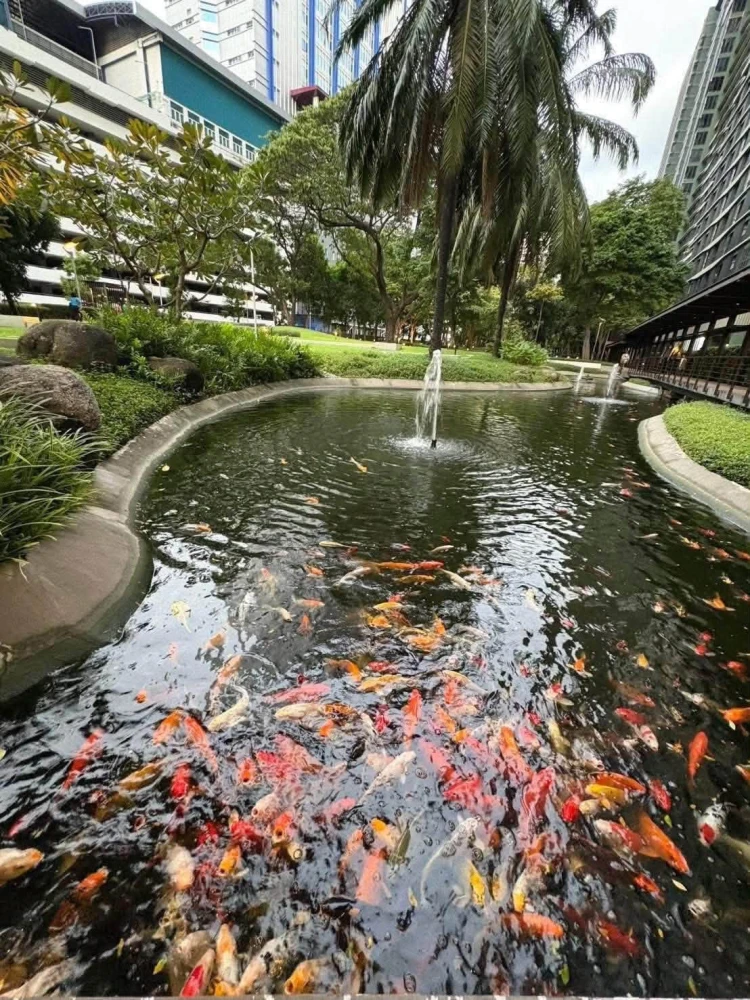 For Rent – The Line Phahonyothin Park