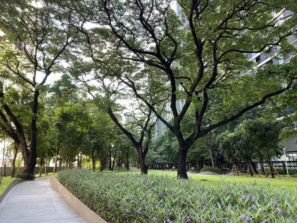 For rent!! Condo The Line Phahon Yothin Park, 19th floor, city view, fully furnished, bring your bags and move in immediately, book now!!