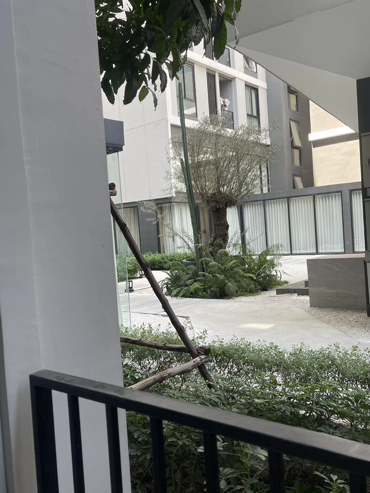 For rent: New Cross Khukot Station, 27 sq.m., 1st floor, Building C. There are trees behind the room, creating a very pleasant and shady atmosphere. T