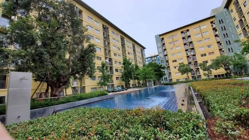 For rent: Plum Condo Park Rangsit Phase 2. Brightly colored room with full amenities. Don't miss out!