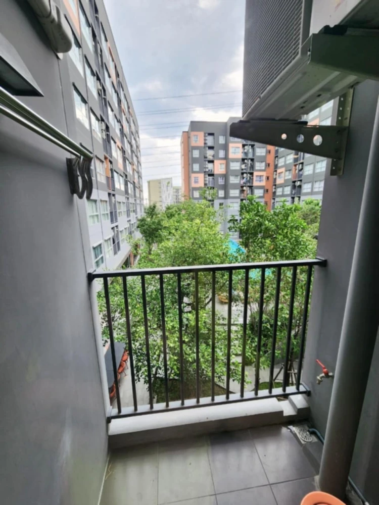 For rent: Plum Condo Rangsit Fresh, ready to move in, well separated, perfectly divided into zones, great price, book now.