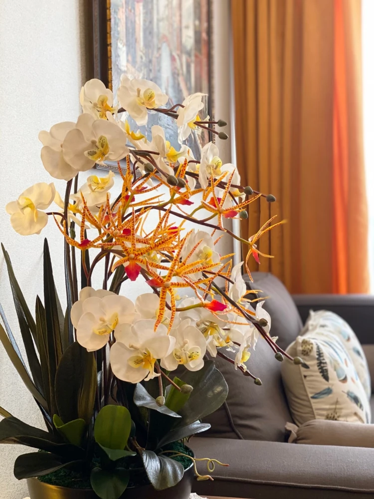 For rent: 2 bedrooms, 1 bathroom, fully furnished at Park 24 Origin Phrom Phong. Book now!