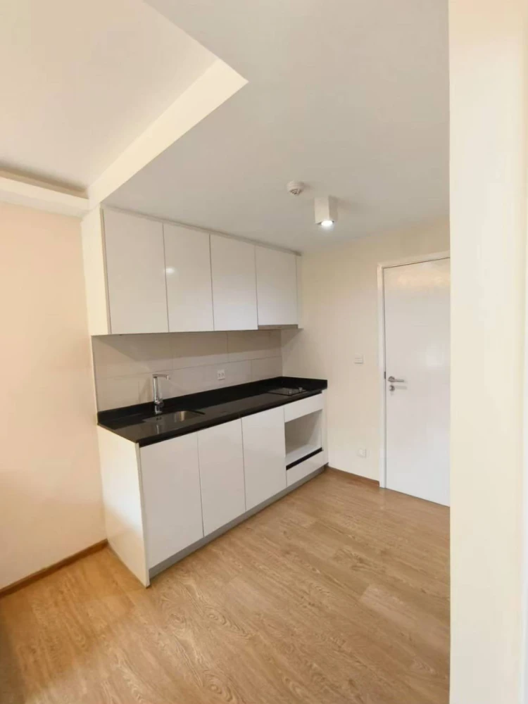 For rent: Maestro 39, 4th floor, private corner room, tree view, shady, pets allowed, both dogs and cats, must book.