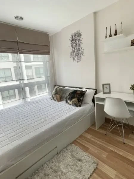 For rent: Apool Condo Bangna, beautiful room, shady atmosphere, ready to move in, complete with furniture and appliances, ready to move in.