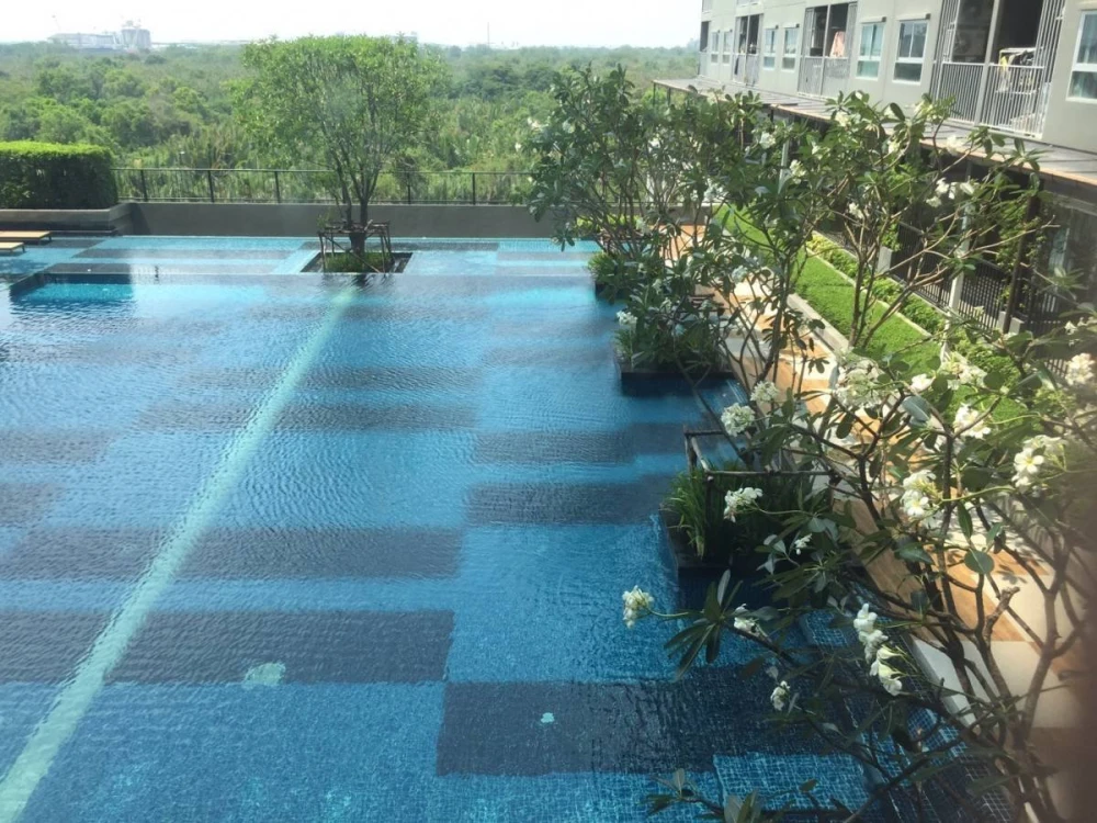 For rent: The Trust @ BTS Erawan, swimming pool and garden view, decorated room looks very nice, super chill, book now and you won't be disappointed.