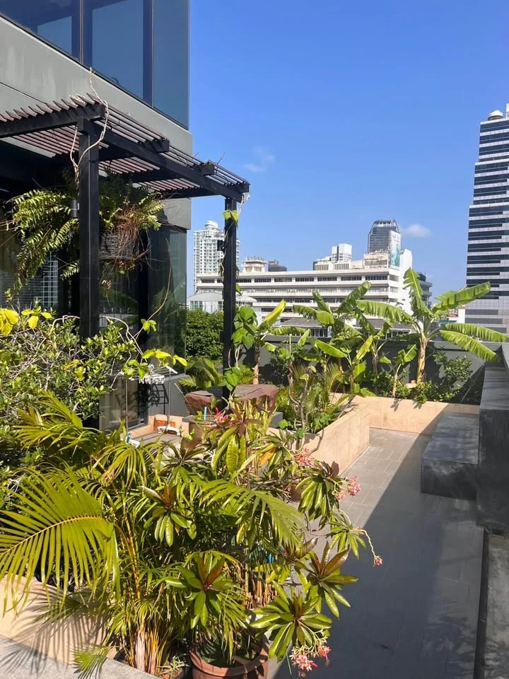 For rent: M Silom, pet-friendly, with a private garden. The unit consists of a 74 sq m apartment and a 76 sq m garden area. Ready to move in!