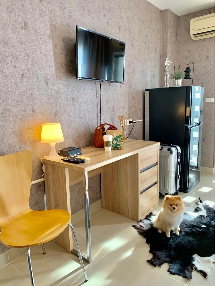 For rent, I-House Laguna Garden RCA, Studio room, beautiful open view, stylishly decorated, wallpapered throughout the room, don't miss it.