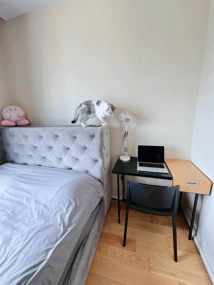 For rent/sale: Condo M Ladprao, spacious room, 21st floor, high view, pets allowed. Pet owners, don't miss out, book now before it's gone!