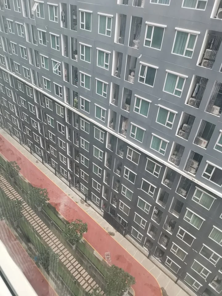 Condo for rent: Regent Home Bang Son Phase 27, ready to move in, complete facilities, book now