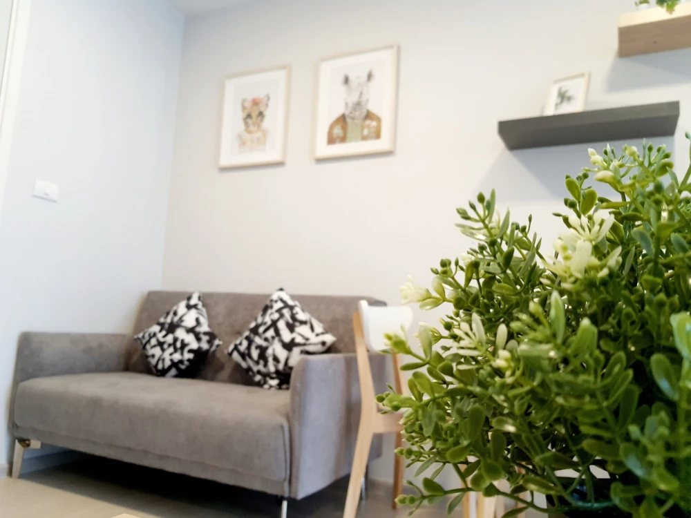 Plum Condo alive 2 for rent, ready to move in, separated into sections, fully furnished, complete with appliances. Come reserve now, don't miss out!