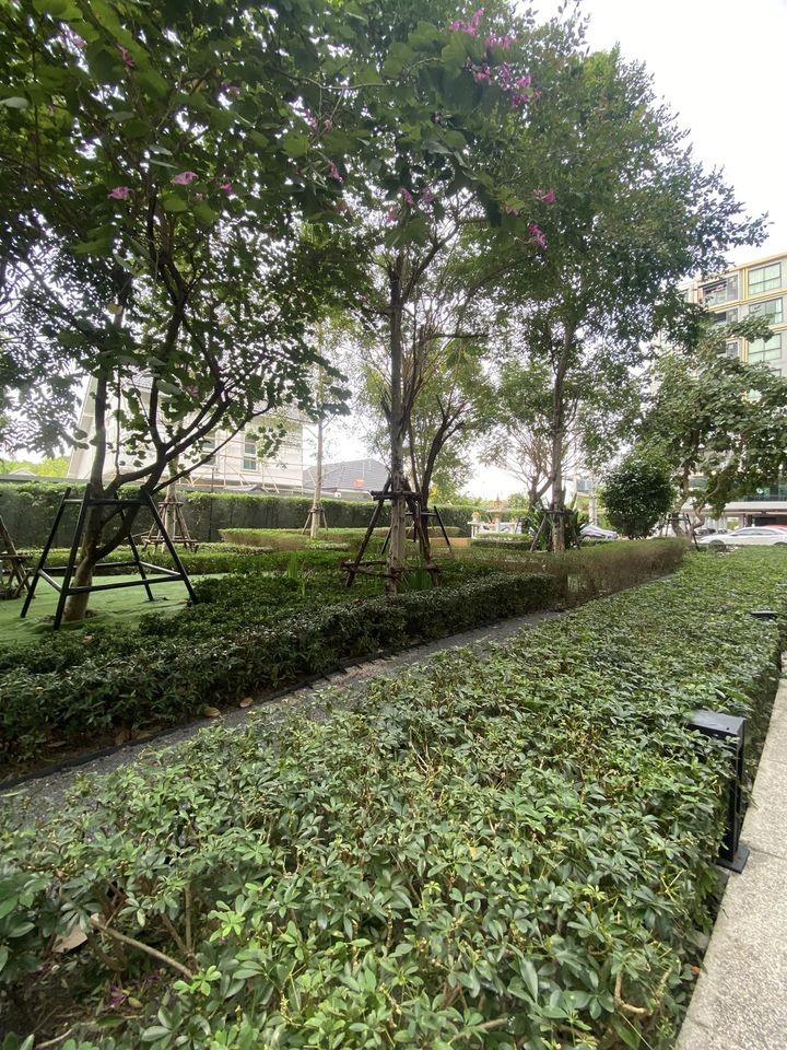 Condo for sale / rent, The Excel Khukot, Studio room with furniture and electrical appliances, ready to reserve.